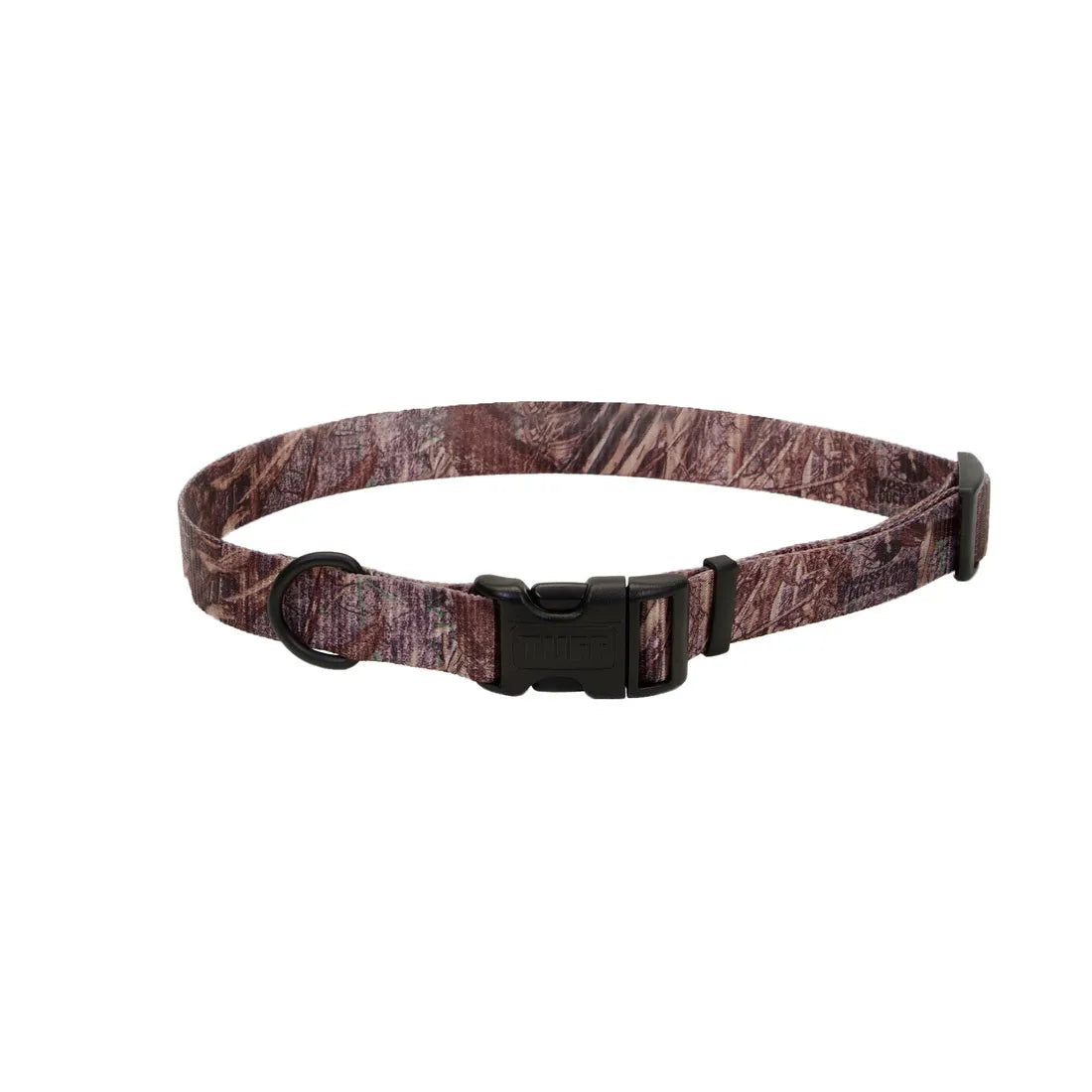 Collars and Leads