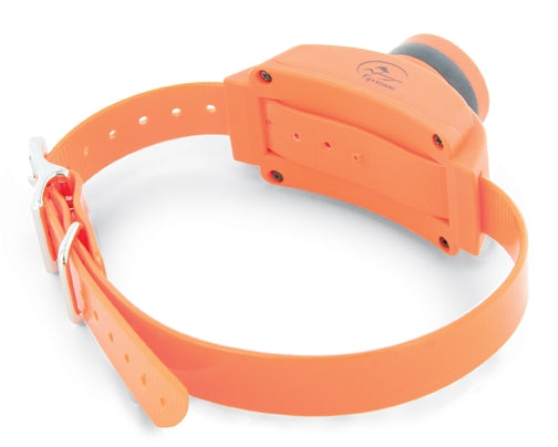 Beeper Collars