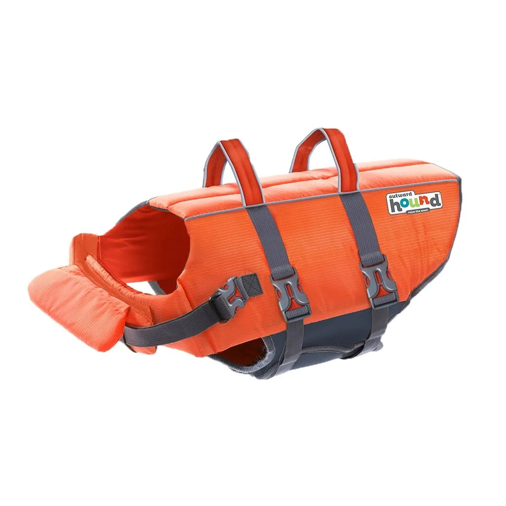 Water Safety