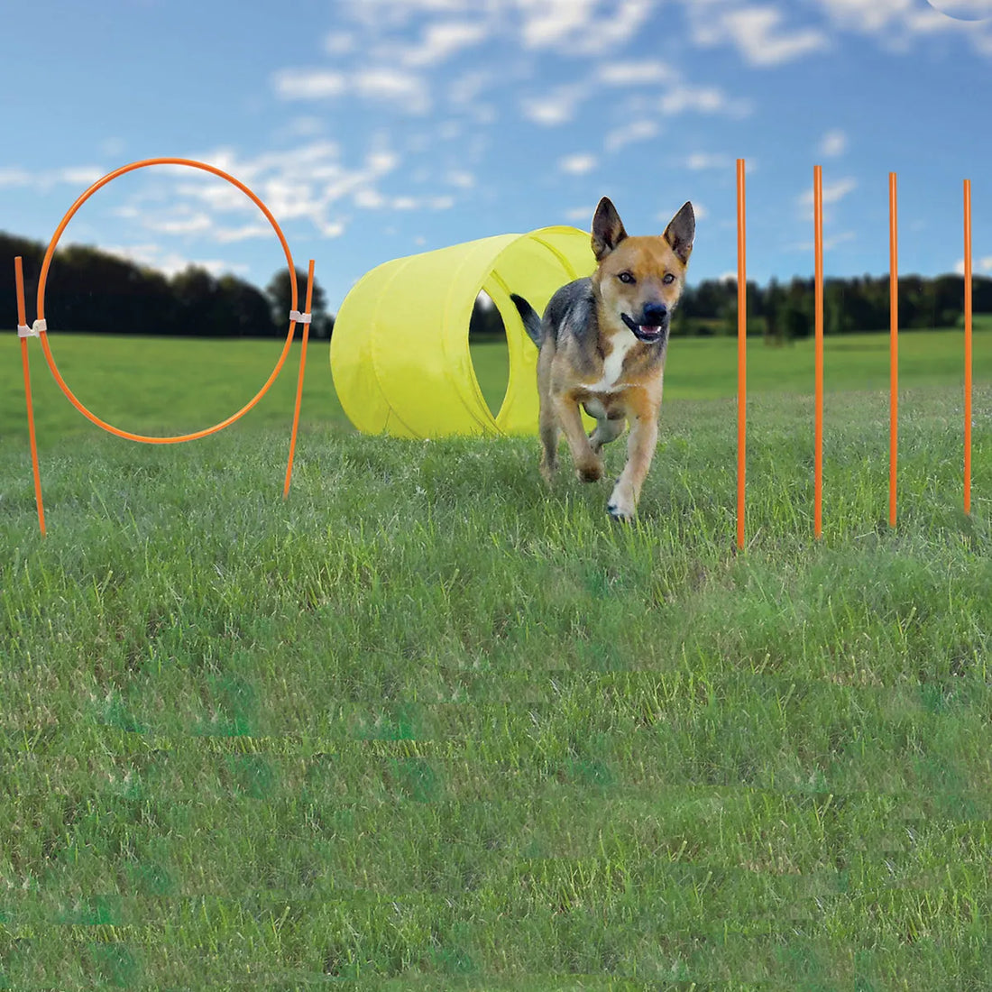 Agility