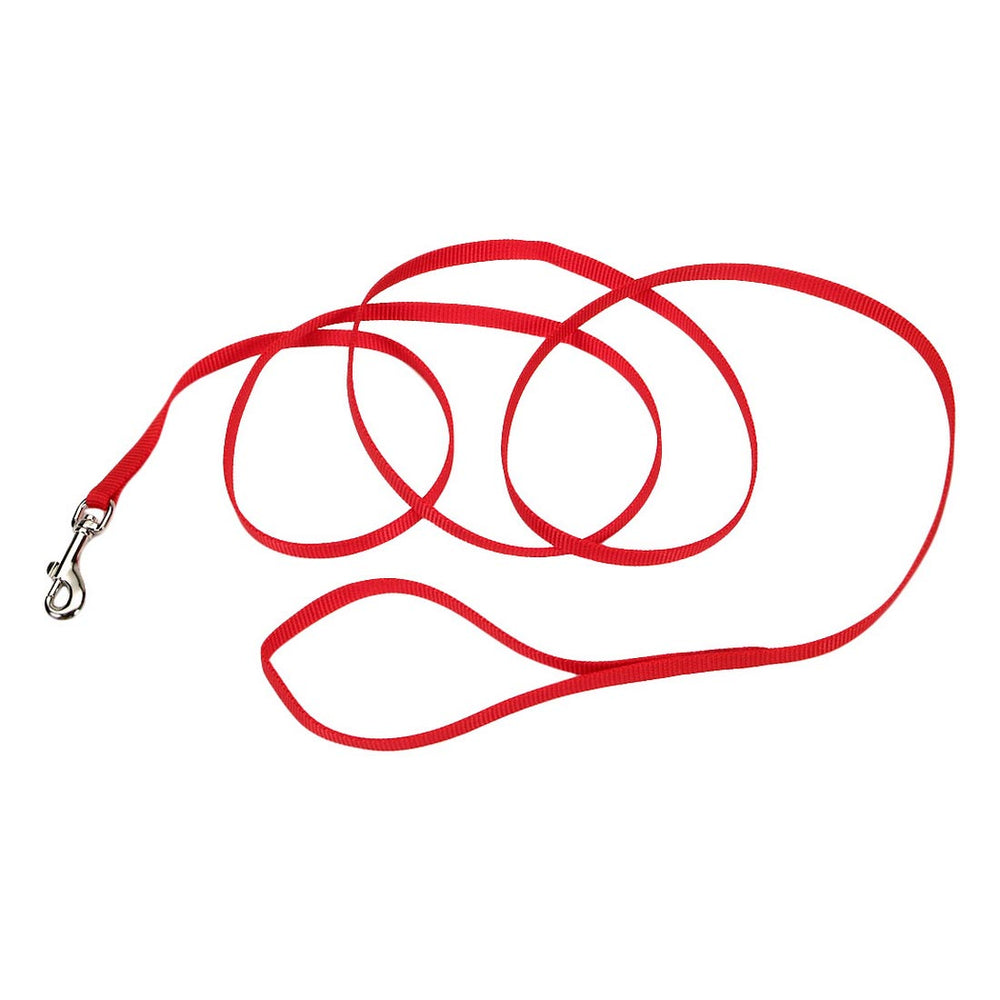 Single-Ply Nylon Dog Leash