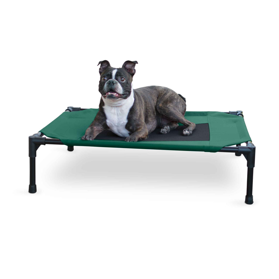 Original Pet Cot Elevated Pet Bed
