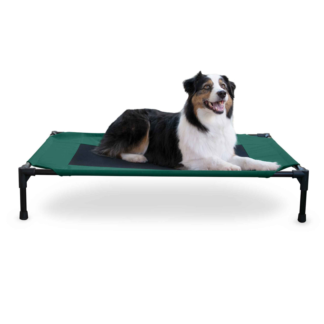 Original Pet Cot Elevated Pet Bed