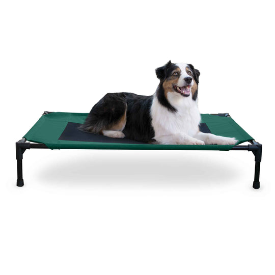 Original Pet Cot Elevated Pet Bed