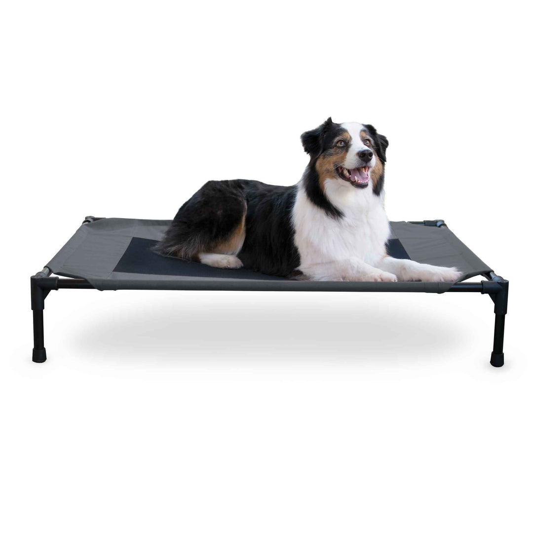 Original Pet Cot Elevated Pet Bed