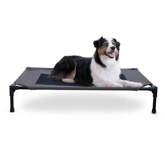 Original Pet Cot Elevated Pet Bed