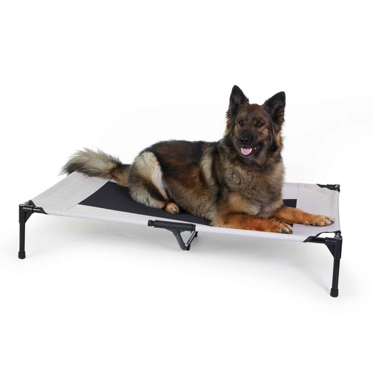 Original Pet Cot Elevated Pet Bed