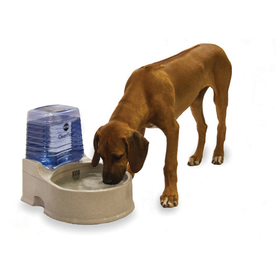Clean Flow Pet Bowl with Reservoir