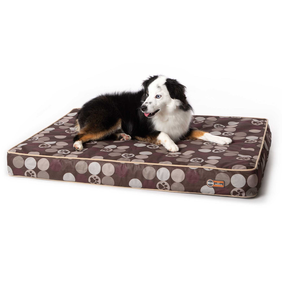 Superior Orthopedic Indoor/Outdoor Bed