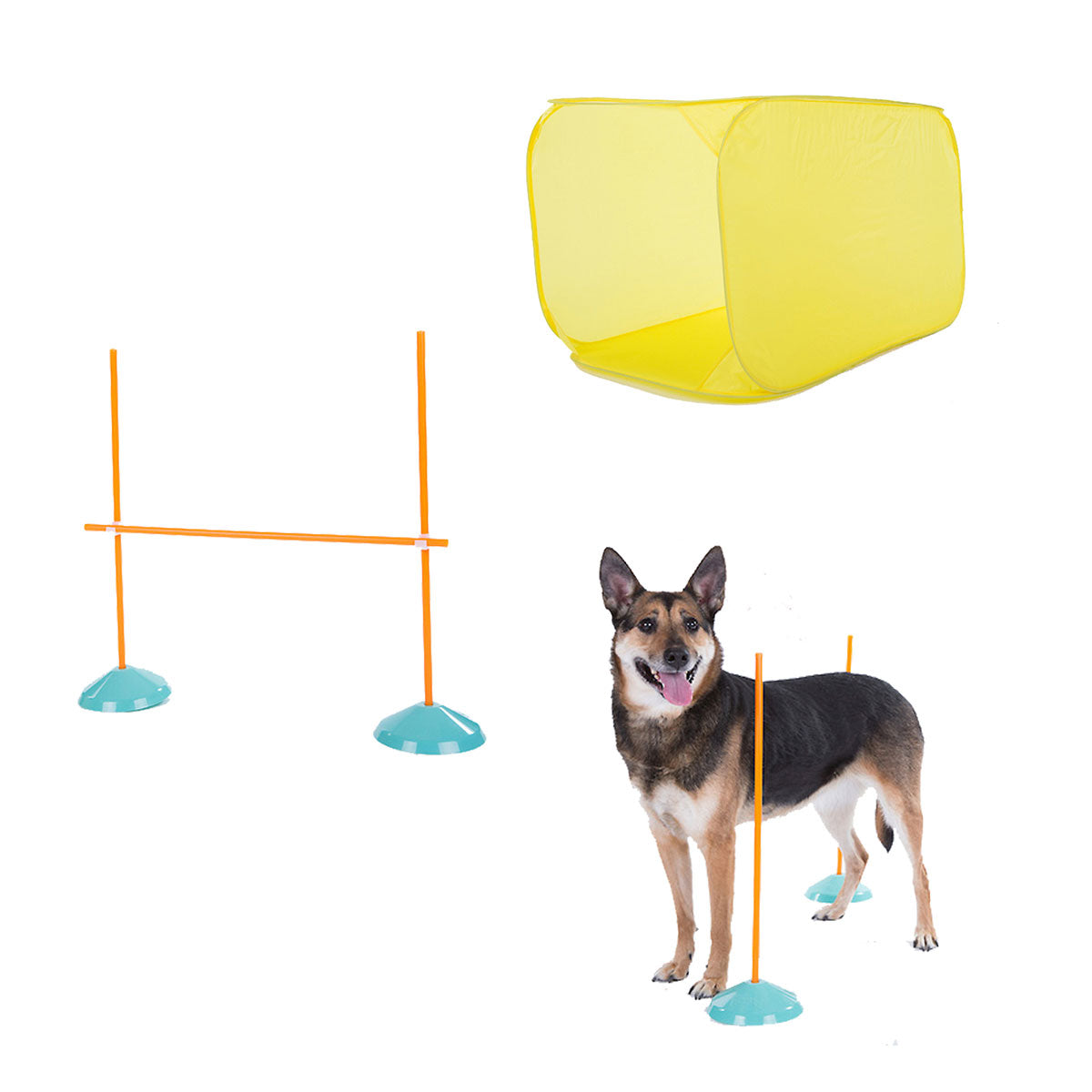 Dog Agility Starter Kit Indoor - OH41003