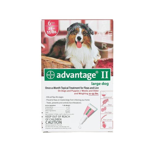 Advantage Flea Control for Dogs and Puppies - 21-55 lbs