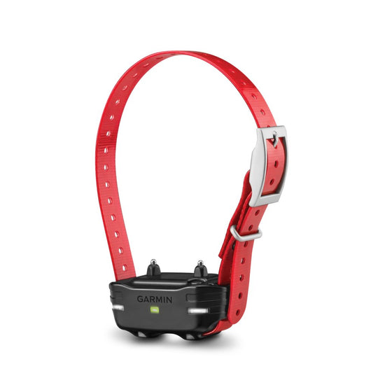 Garmin PT 10 Additional PRO Dog Collar - 010-01209-00