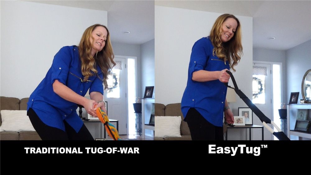 EasyTug-11_00_LRG
