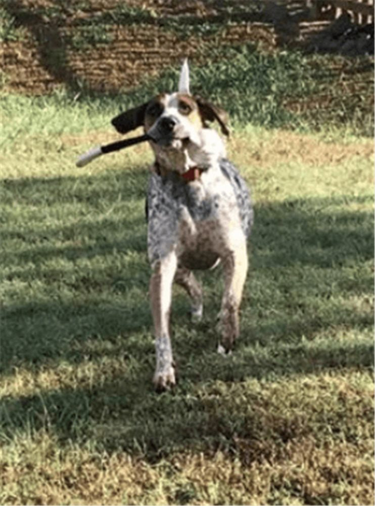 Monkey Fist Attachment