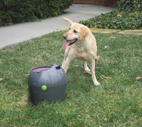 Automatic Ball Launcher