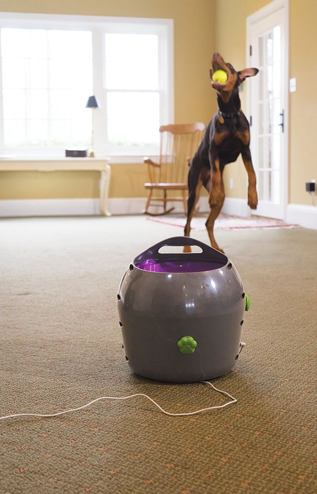 Automatic Ball Launcher