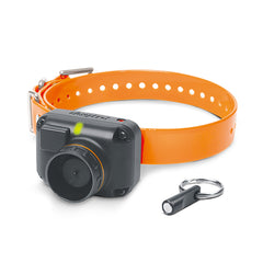 Dogtra STB Beeper Collar Beeper Version – STB-BEEPER-BEEP