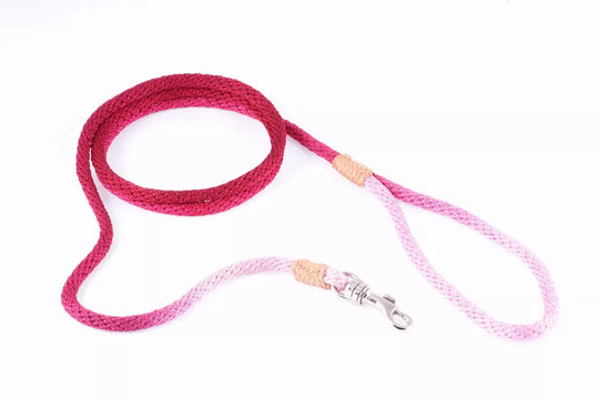 Alvalley Nylon Snap Leads