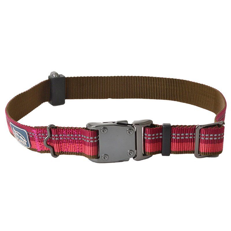 K9 Explorer Reflective Adjustable Dog Collar