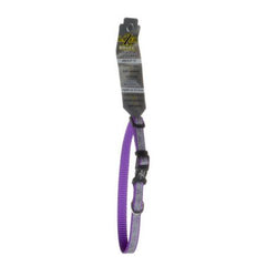 Coastal Pet Lazer Brite Reflective Adjustable Dog Collar - Purple Daisy